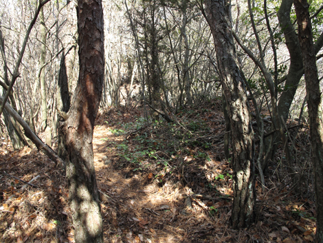 20140103hike (169)